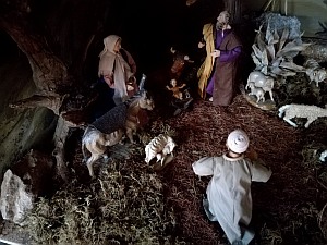 Krippe 18-02 Klick zur Vergrößerung